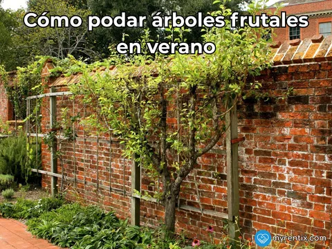 Cómo podar árboles frutales en verano: técnica, herramientas y maquinaria