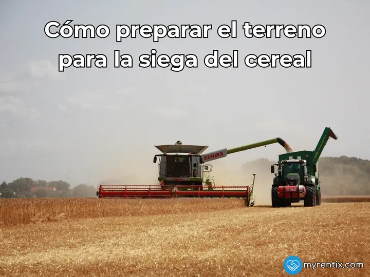 Cómo preparar el terreno para la siega del cereal: maquinaria y pasos