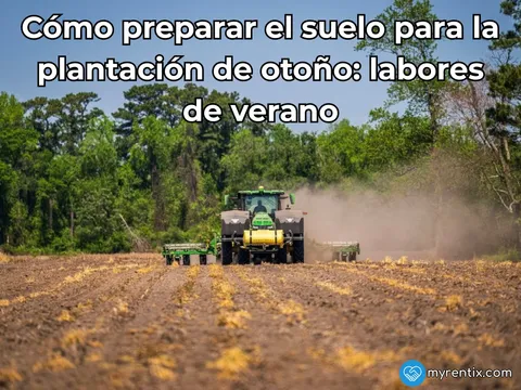 Cómo preparar el suelo para la plantación de otoño: labores de verano